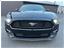 Ford
Mustang
2016