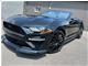 Ford Mustang EcoBoost Convertible